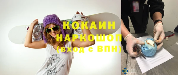 ешки Алексин